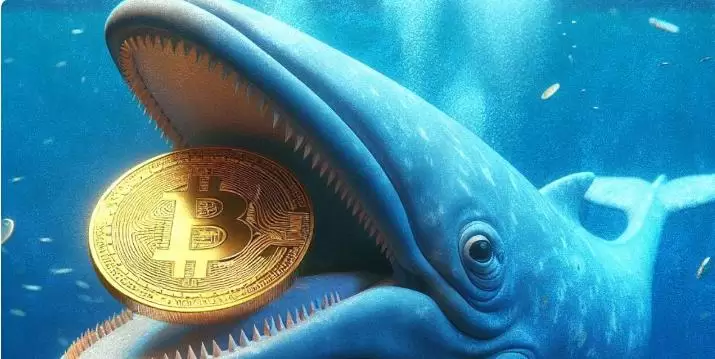 从历史案例看，加密货币投资的风险教训与反思
